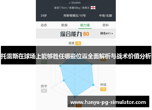 托雷斯在球场上能够胜任哪些位置全面解析与战术价值分析
