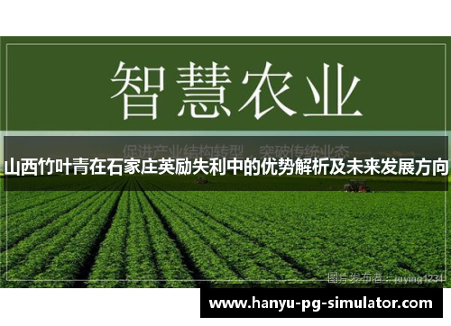 山西竹叶青在石家庄英励失利中的优势解析及未来发展方向 山西竹叶青在石家庄英励失利中的优势解析及未来发展方向